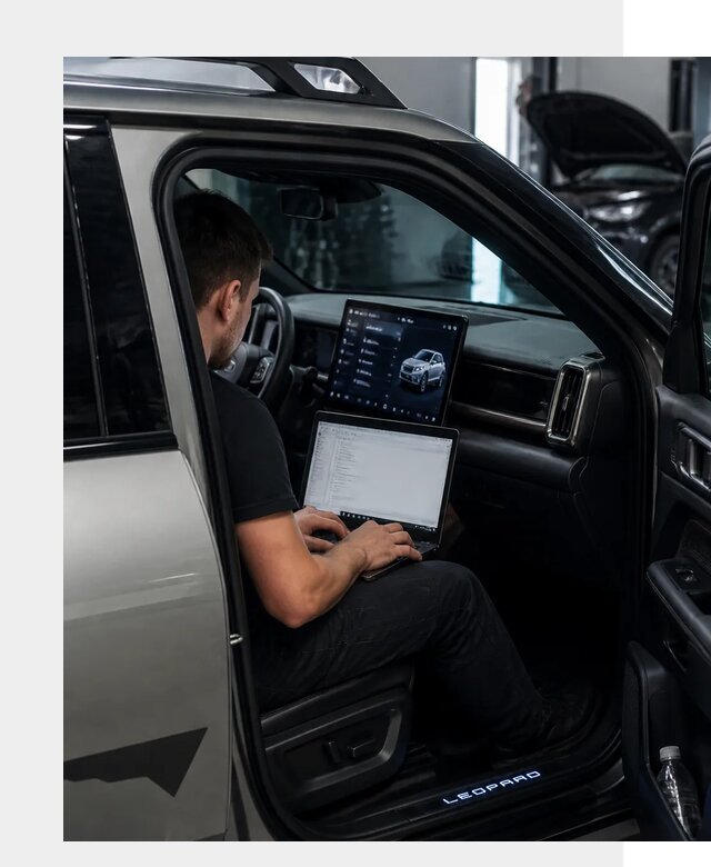 Русификация BYD Leopard 3 в Качканаре по цене от 20403 р. | ФастМобиль-Кчк